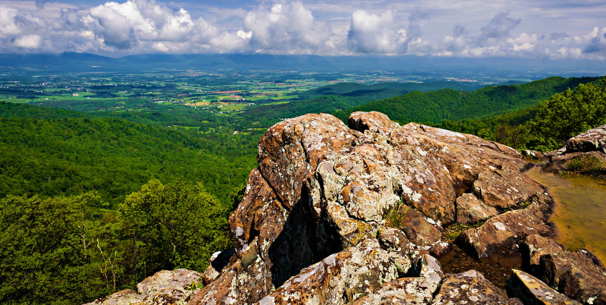 Alexandria – heaven for tourists