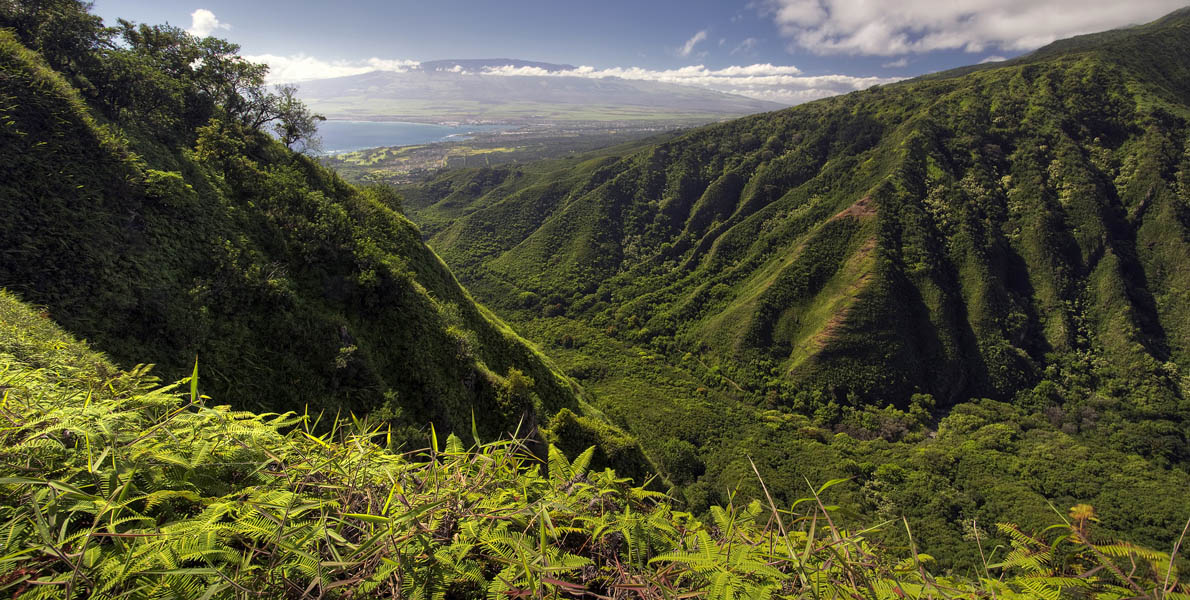 Explore Kahului, Hawaii