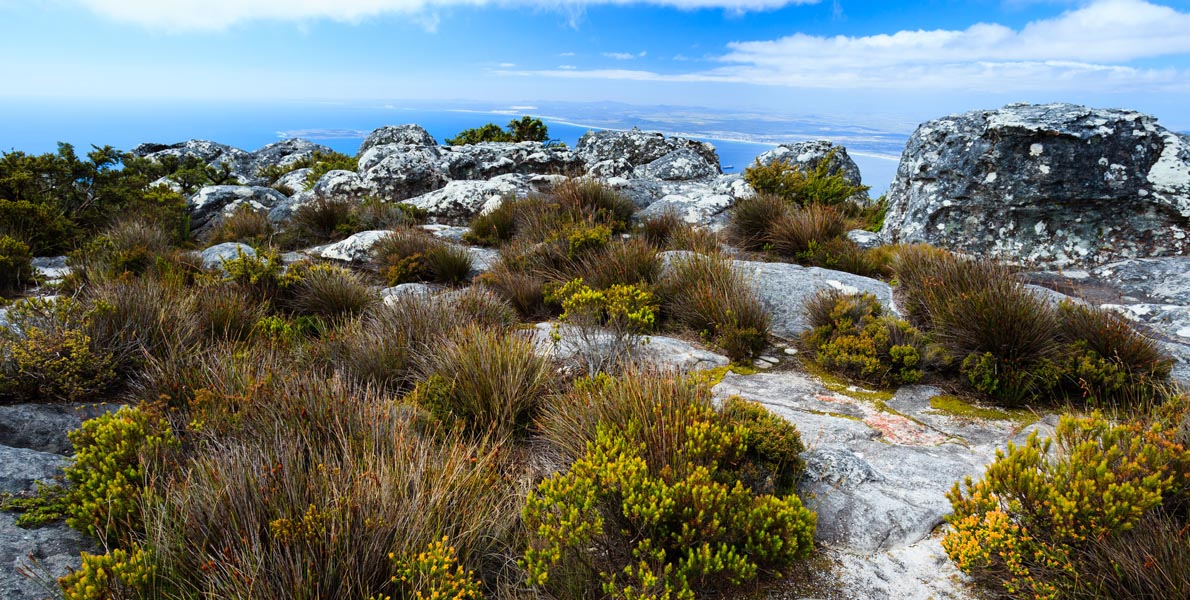 Kinshasa – The third largest city in Africa