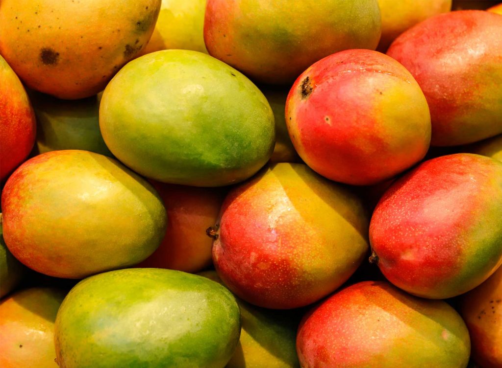 Karuthakolamban Mangoes