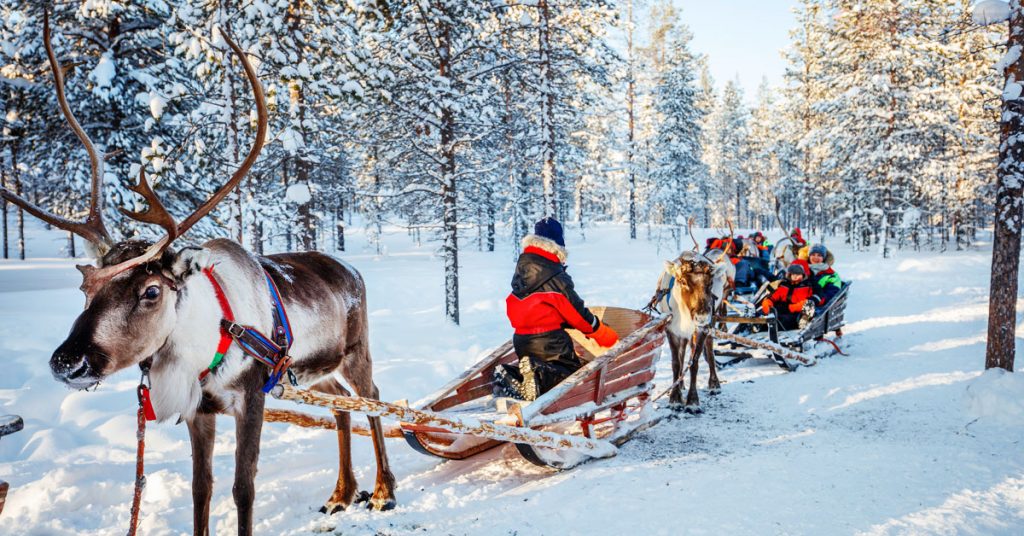 Reindeer sleigh rides