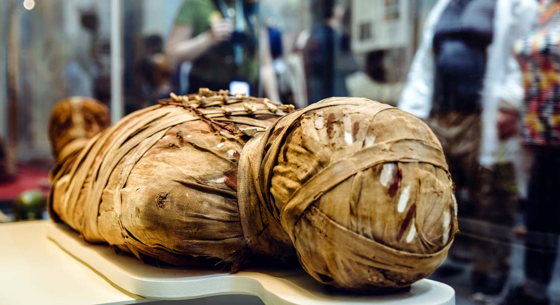 Weird Museums - The Mummy Museum