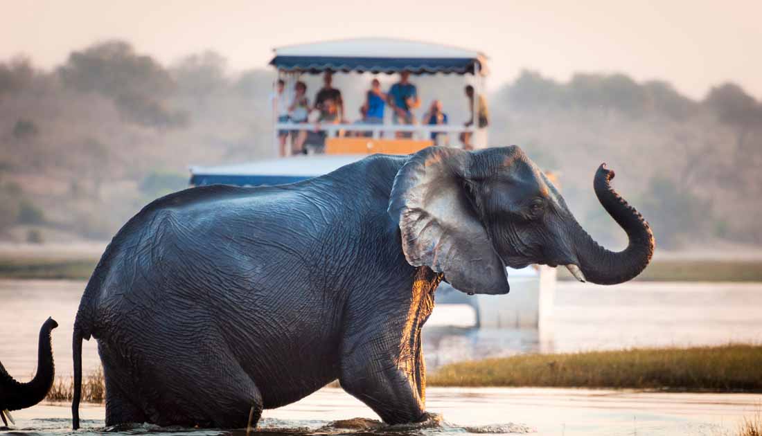 best safari destinations in the world - Chobe National park, Botswana