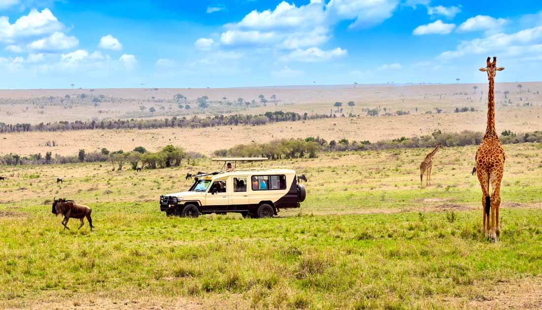 best safari destinations in the world - Maasai Mara National Reserve, Kenya