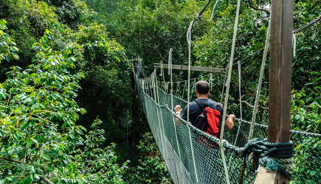 best safari destinations in the world - Taman Negara National Park