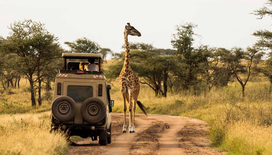 best safari destinations in the world - Serengeti National Park, Tanzania