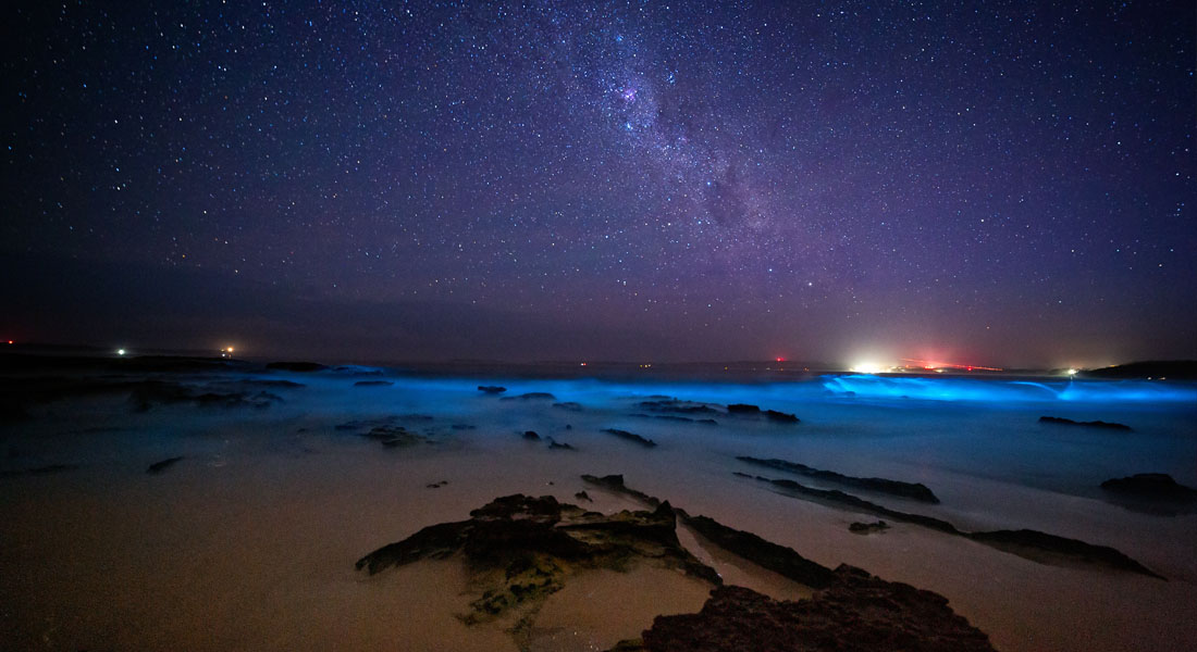 Plages bioluminescentes dans le monde - Mission bay