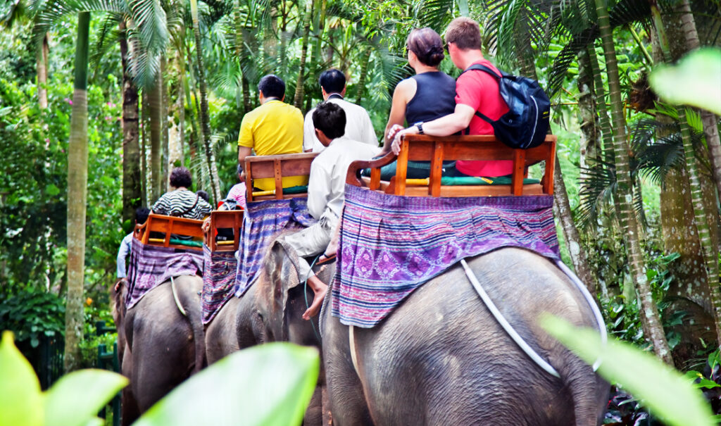 Best time to visit Bali - Bali Jungle Safari